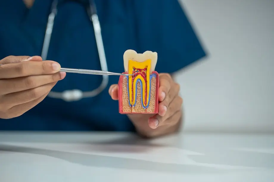 dentists writes reports of working with tooth mode 2026 03 25 07 25 22 utc